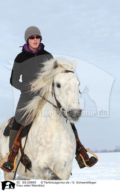 Frau reitet Warmblut / woman rides warmblood / SS-26865