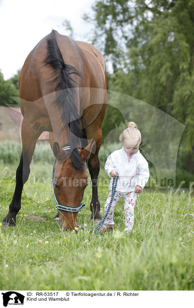 Kind und Warmblut / child and warmblood / RR-53517