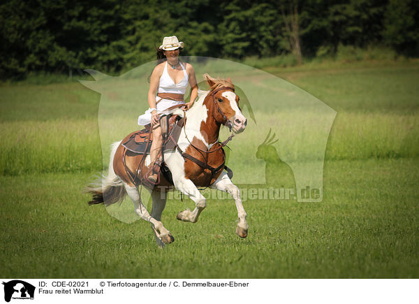 Frau reitet Warmblut / woman rides warmblood / CDE-02021