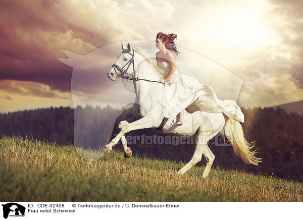 Frau reitet Schimmel / woman rides white horse / CDE-02458