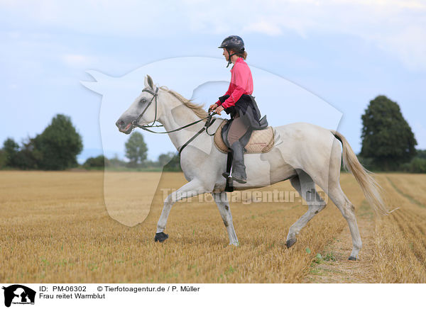 Frau reitet Warmblut / woman rides warmblood / PM-06302