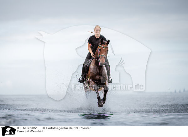 Frau mit Warmblut / woman with warmblood / NP-02051