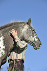 Appaloosa-Mix Portrait