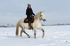 Frau reitet Warmblut im Schnee