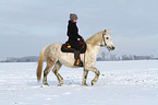 Frau reitet Warmblut im Schnee