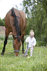 Kind und Warmblut