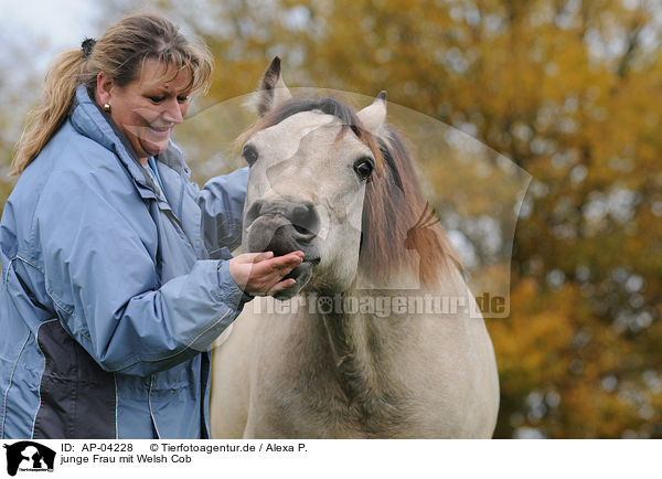 junge Frau mit Welsh Cob / AP-04228