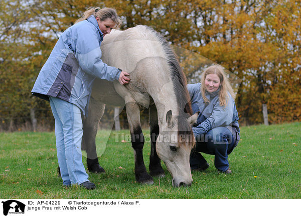 junge Frau mit Welsh Cob / AP-04229