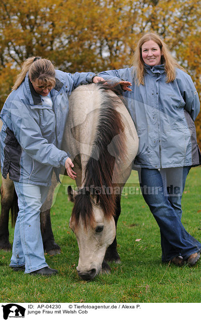 junge Frau mit Welsh Cob / young woman with Welsh Cob / AP-04230