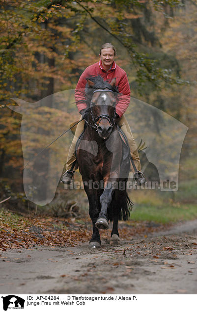 junge Frau mit Welsh Cob / AP-04284