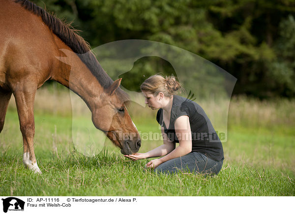 Frau mit Welsh-Cob / woman with Welsh-Cob / AP-11116