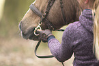 Welsh-Cob