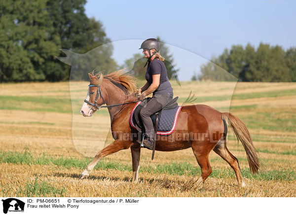 Frau reitet Welsh Pony / woman rides Welsh Pony / PM-06651