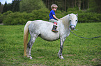 Junge sitzt auf Welsh Pony