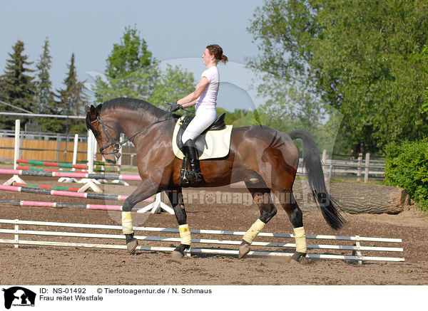 Frau reitet Westfale / woman rides horse / NS-01492