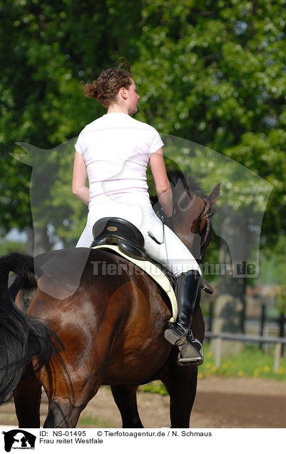 Frau reitet Westfale / woman rides horse / NS-01495