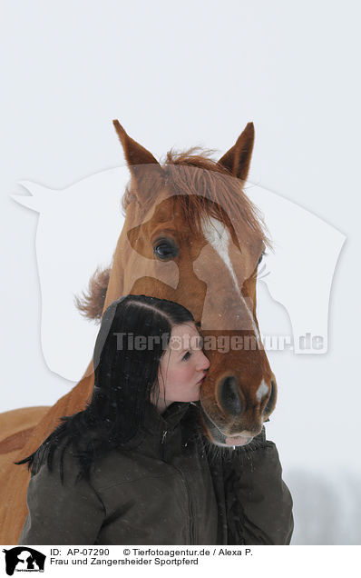 Frau und Zangersheider Sportpferd / woman and warmblood / AP-07290