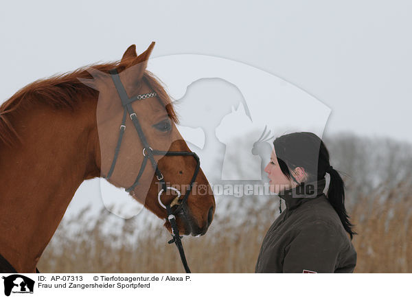 Frau und Zangersheider Sportpferd / woman and warmblood / AP-07313