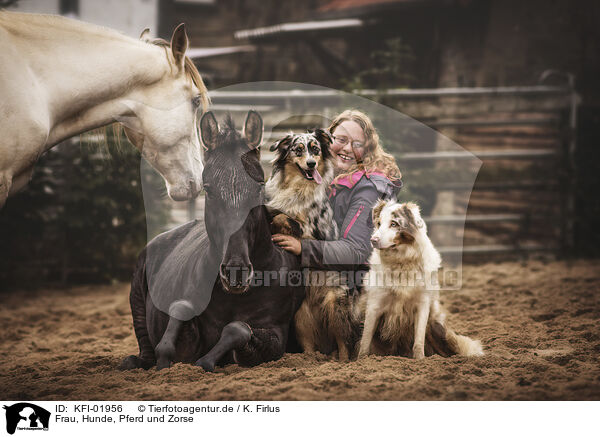 Frau, Hunde, Pferd und Zorse / woman, dogs, horse and zebra-horse / KFI-01956