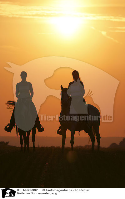 Reiter im Sonnenuntergang / Leisure rider / RR-05982