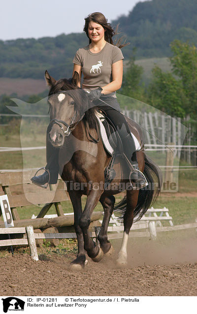 Reiterin auf Lewitzer Pony / Leisure rider / IP-01281