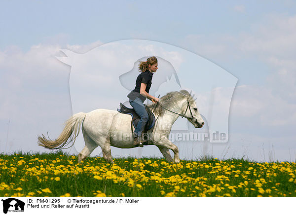 Pferd und Reiter auf Ausritt / Leisure rider / PM-01295