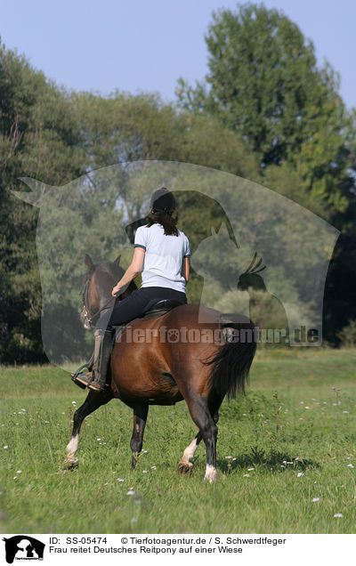 Frau reitet Deutsches Reitpony / woman rides pony in the meadow / SS-05474