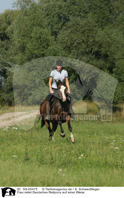 Frau reitet Deutsches Reitpony / woman rides pony in the meadow / SS-05475