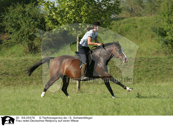 Frau reitet Deutsches Reitpony / woman rides pony in the meadow / SS-05478