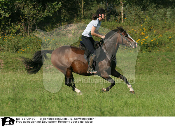 Frau galoppiert mit Deutschem Reitpony / woman rides pony in the meadow / SS-05479