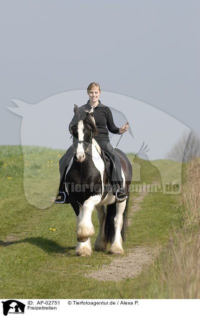 Freizeitreiten / riding woman / AP-02751