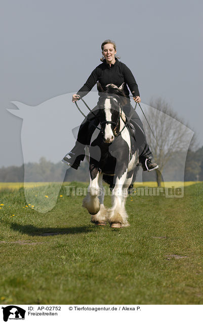 Freizeitreiten / riding woman / AP-02752