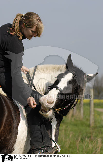 Freizeitreiten / riding woman / AP-02756