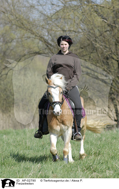 Freizeitreiten / rinding woman / AP-02790