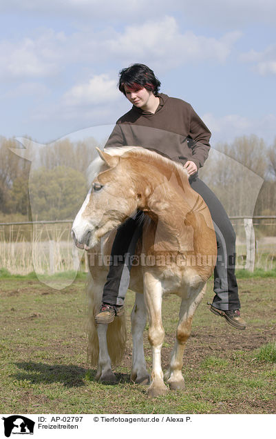 Freizeitreiten / rinding woman / AP-02797