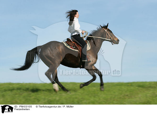 Freizeitreiten / ridgin woman / PM-03105