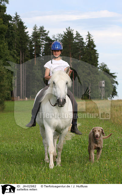 sattellos reiten / riding without saddle / JH-02982