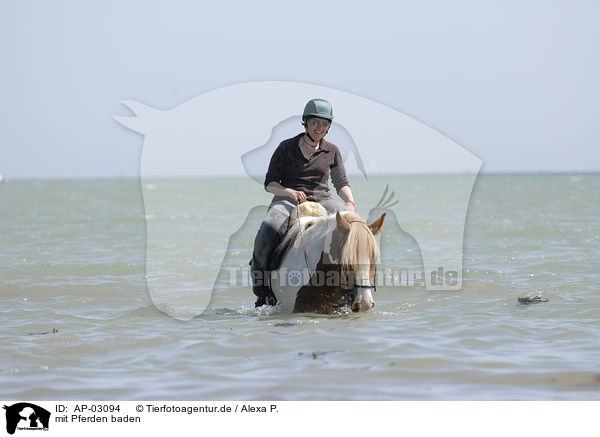 mit Pferden baden / bathing with horse / AP-03094