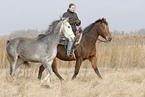 reiten mit Handpferd