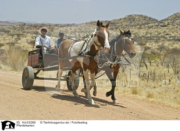 Pferdekarren / horse cart / HJ-03289