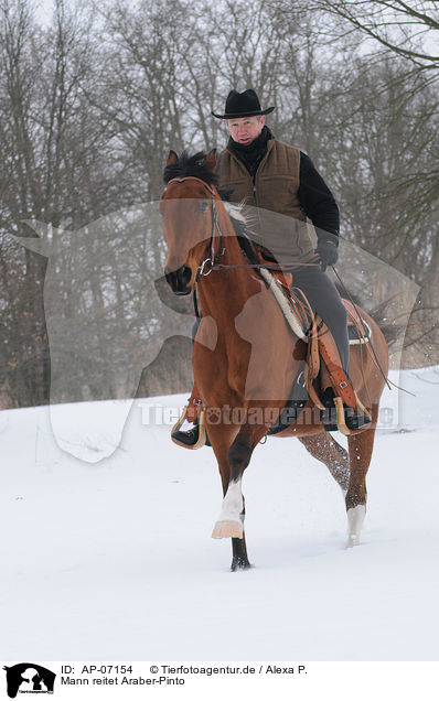 Mann reitet Araber-Pinto / man rides halfbreed / AP-07154