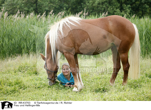 Frau und Haflinger-Mix / woman and crossbreed / RR-43763