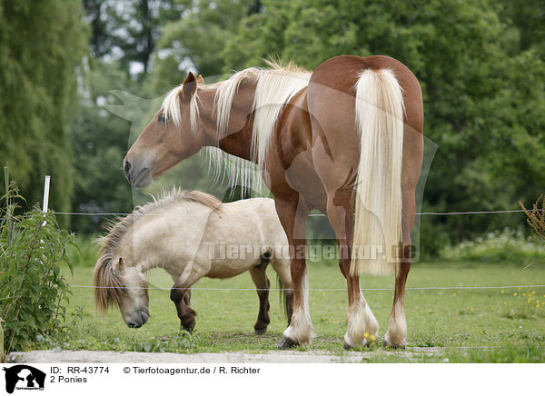 2 Ponies / 2 Ponies / RR-43774