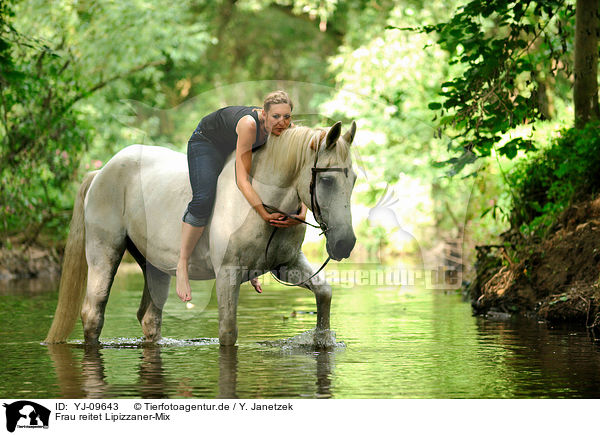 Frau reitet Lipizzaner-Mix / woman rides Lipizzan-Horse-Cross / YJ-09643