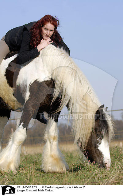 junge Frau mit Irish Tinker / young woman with horse / AP-01173