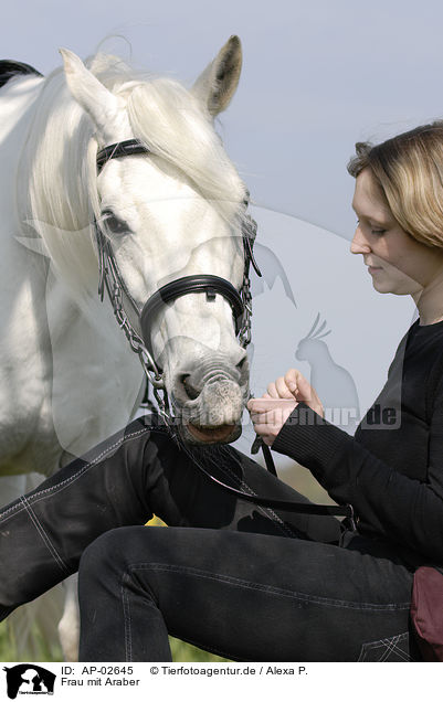 Frau mit Araber / woman with arabian horse / AP-02645