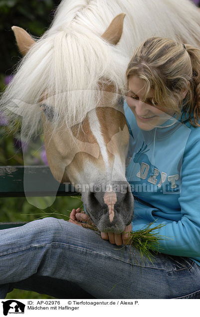 Mdchen mit Haflinger / girl with Haflinger / AP-02976