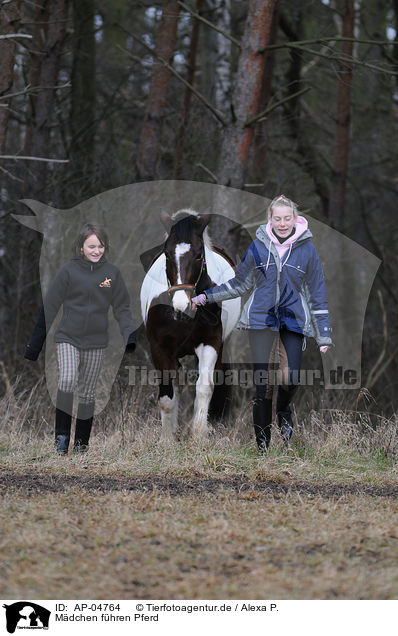 Mdchen fhren Pferd / girls with horse / AP-04764