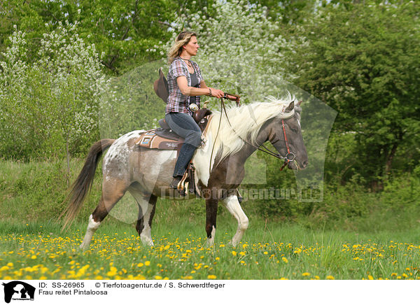 Frau reitet Pintaloosa / woman rides Pintaloosa / SS-26965