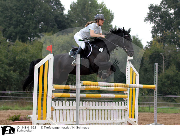 Springreiten / showjumping / NS-01622